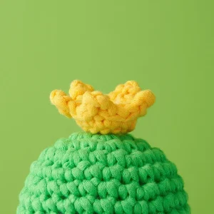 Tiny Crown Accessory Kit
