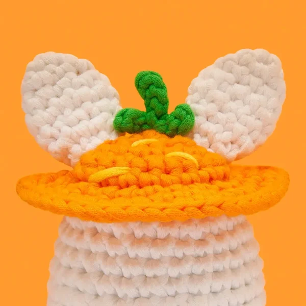 Tiny Carrot Hat Accessory Kit